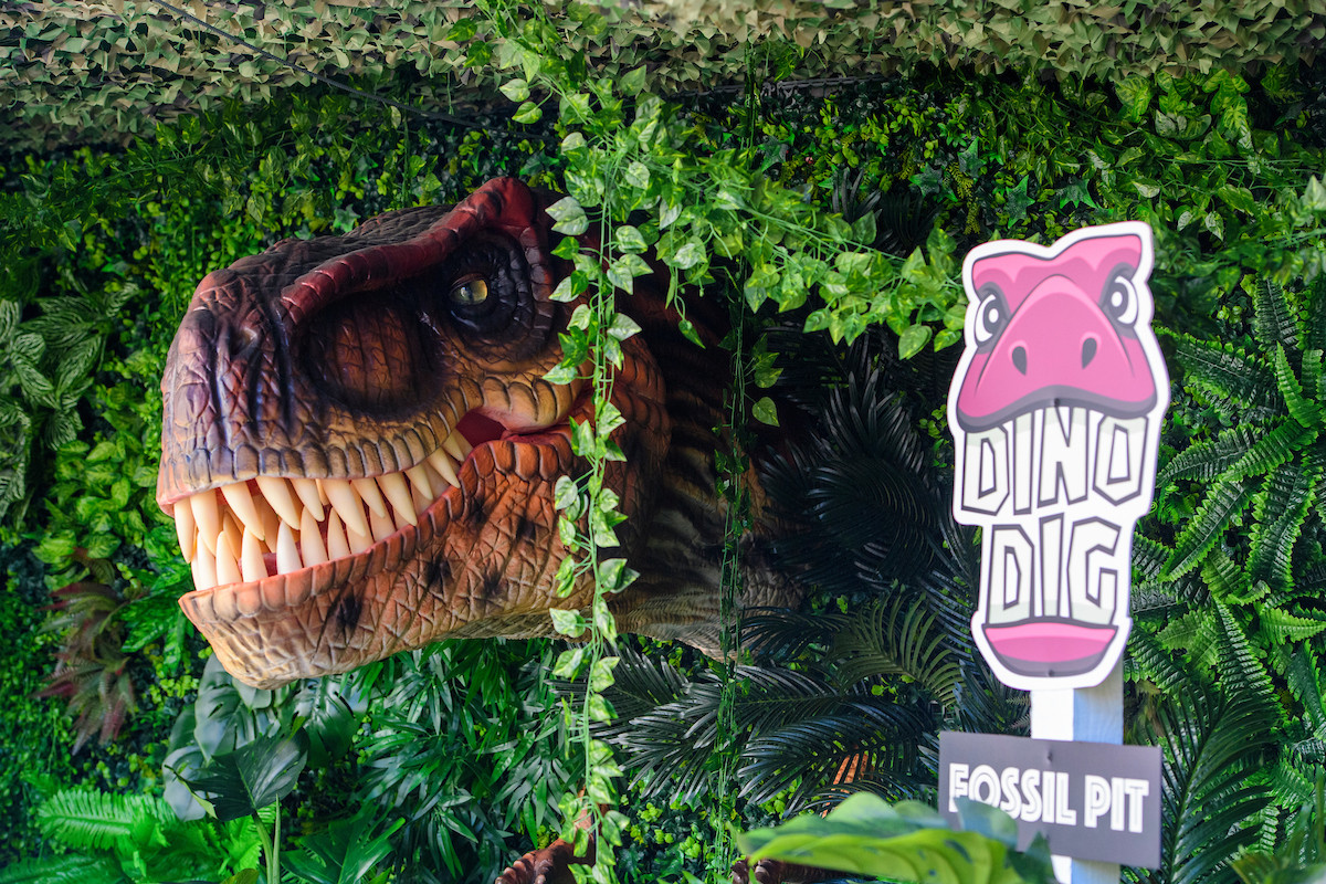 https://www.lincolnbig.co.uk/assets/images/common/Dino.jpg